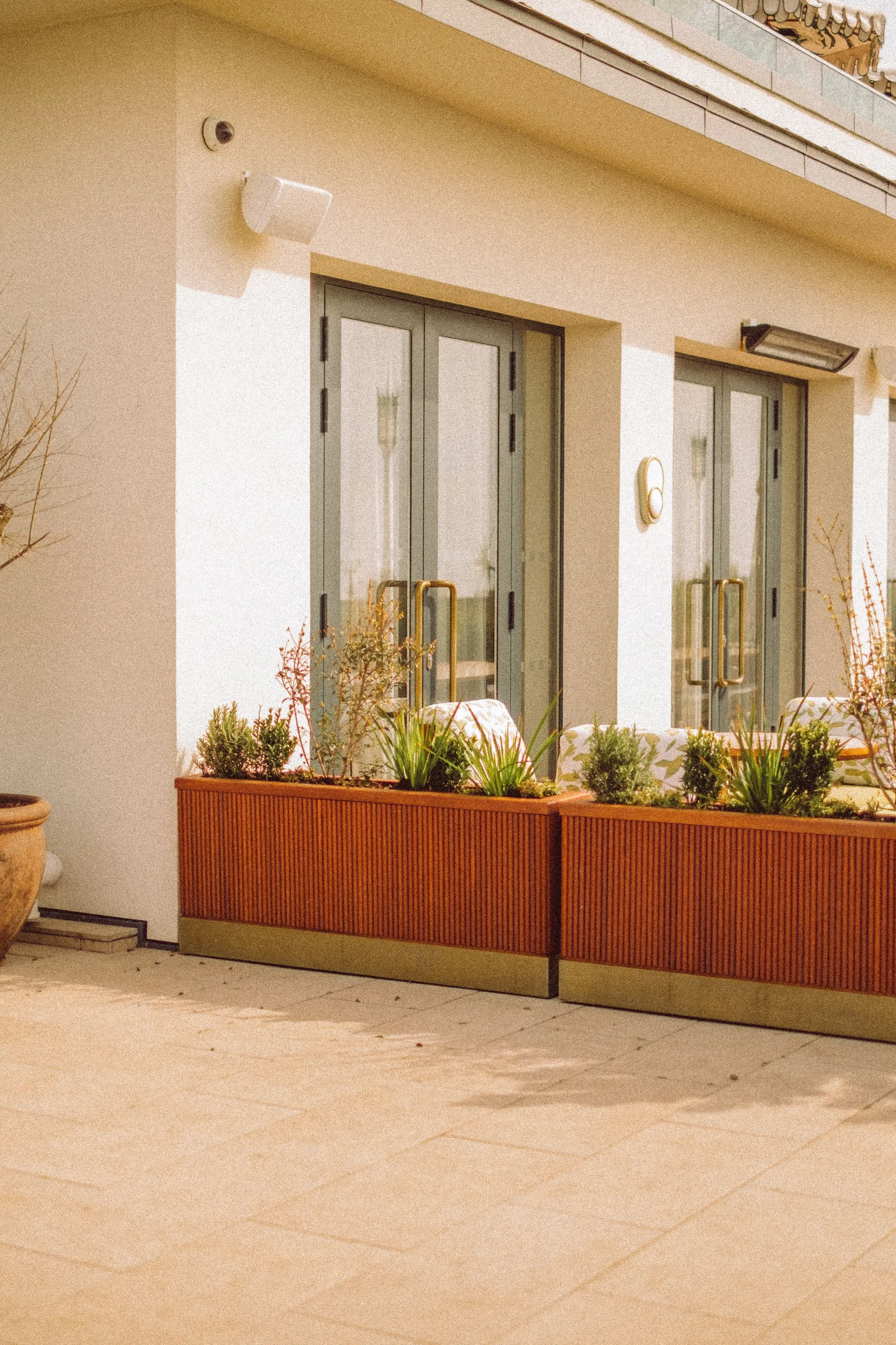 Modern planters outside a contemporary home