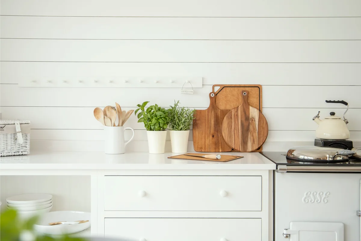 Basil and rosemary growing in pots on a bright kitchen counter