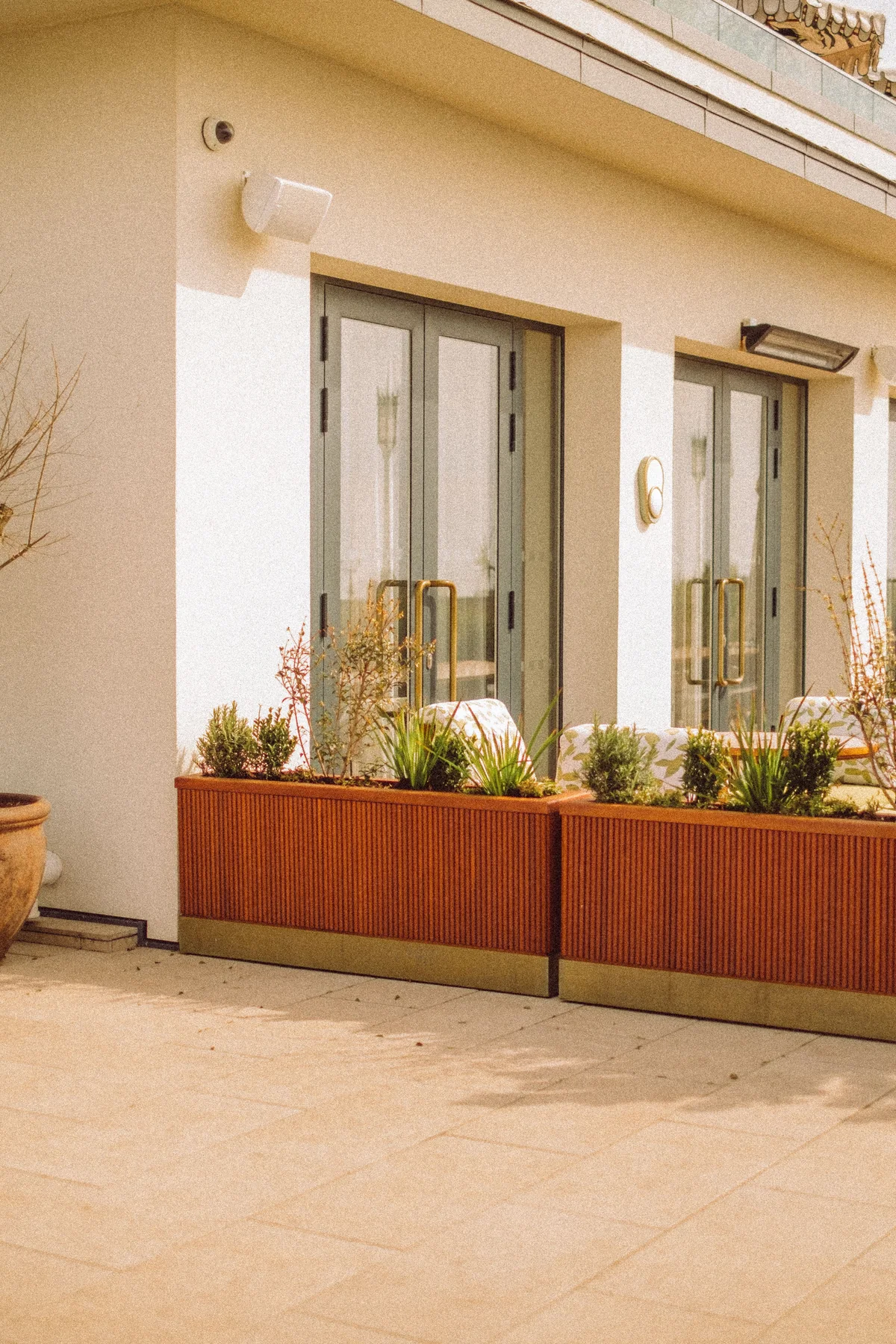 Modern patio planter boxes beside a contemporary home