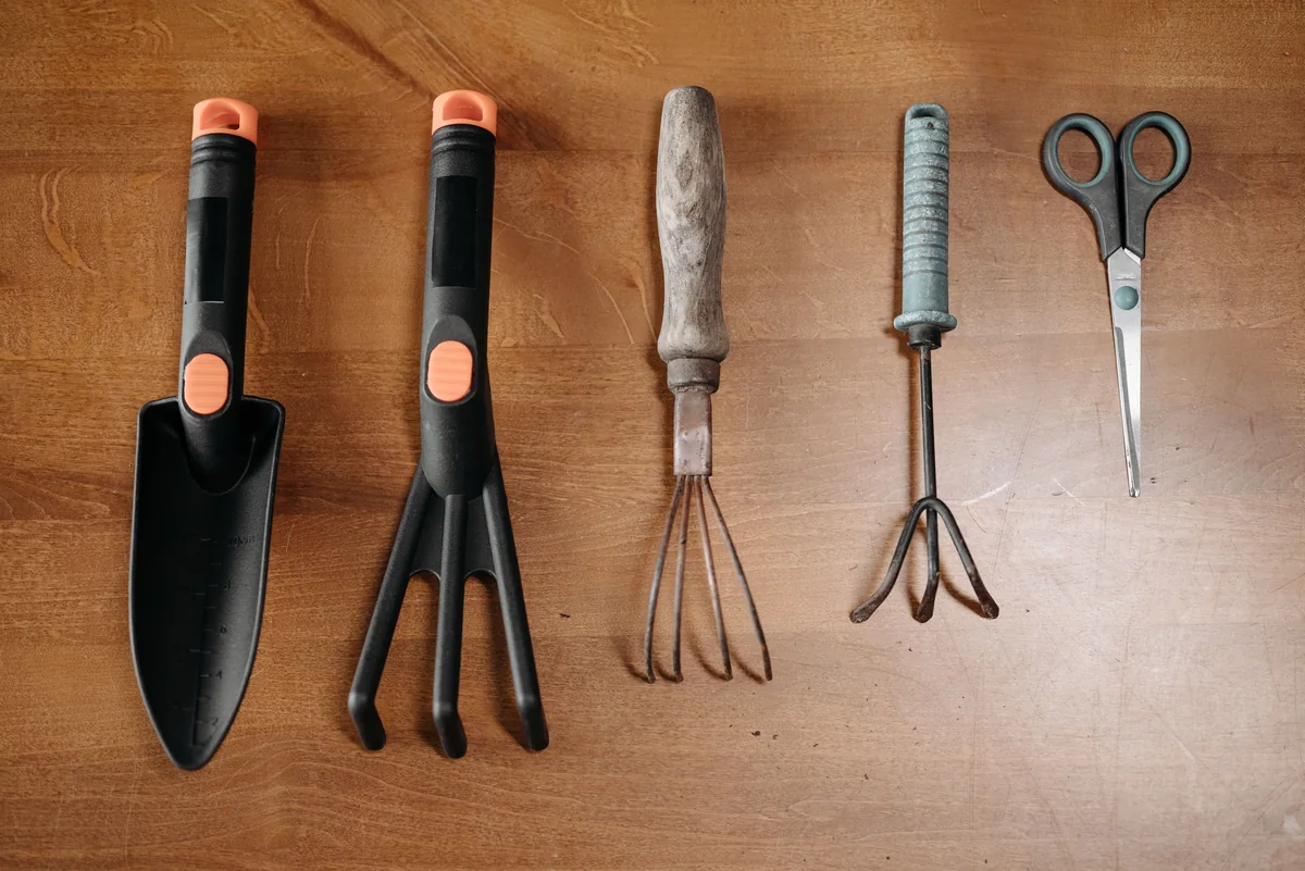 Garden hand tool set arranged on a wooden surface