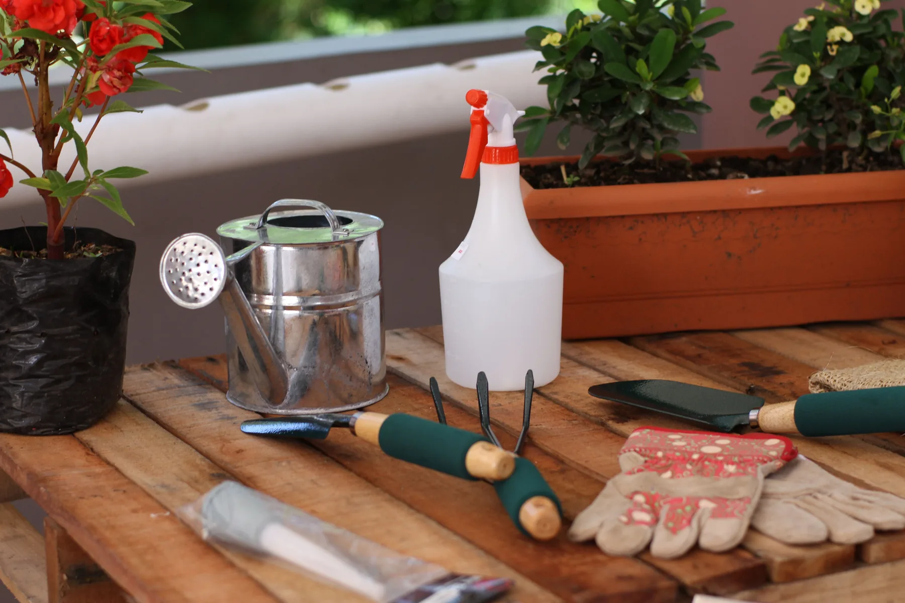 Basic gardening tools arranged on a work table